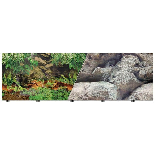 BLUE RIBBON DOUBLE-SIDED RAINFOREST/BOULDER BACKGROUND (19 INCH)