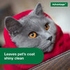 Advantage Cat Flea & Tick Shampoo for Kittens & Adult Cats (8-oz Bottle)