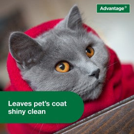 Advantage Cat Flea & Tick Shampoo for Kittens & Adult Cats (8-oz Bottle)