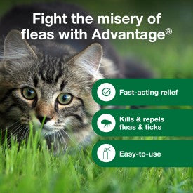 Advantage Cat Flea Treatment Spray (8-oz)