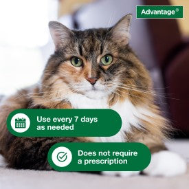 Advantage Cat Flea & Tick Shampoo for Kittens & Adult Cats (8-oz Bottle)